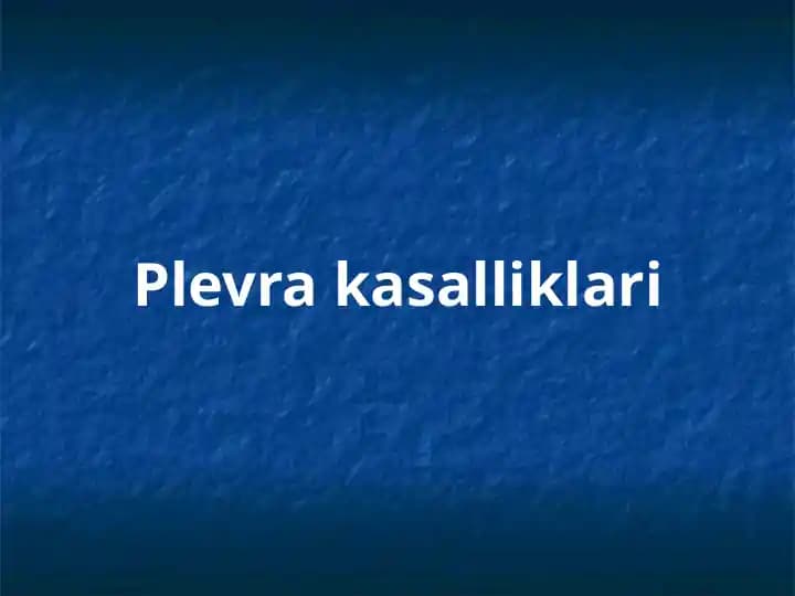 Plevra kasalliklari
