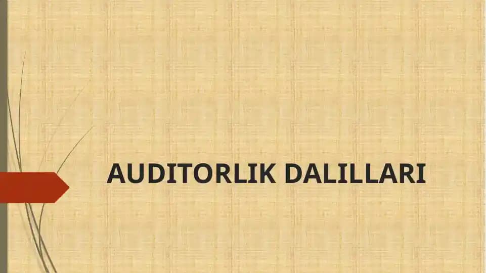 AUDITORLIK DALILLARI