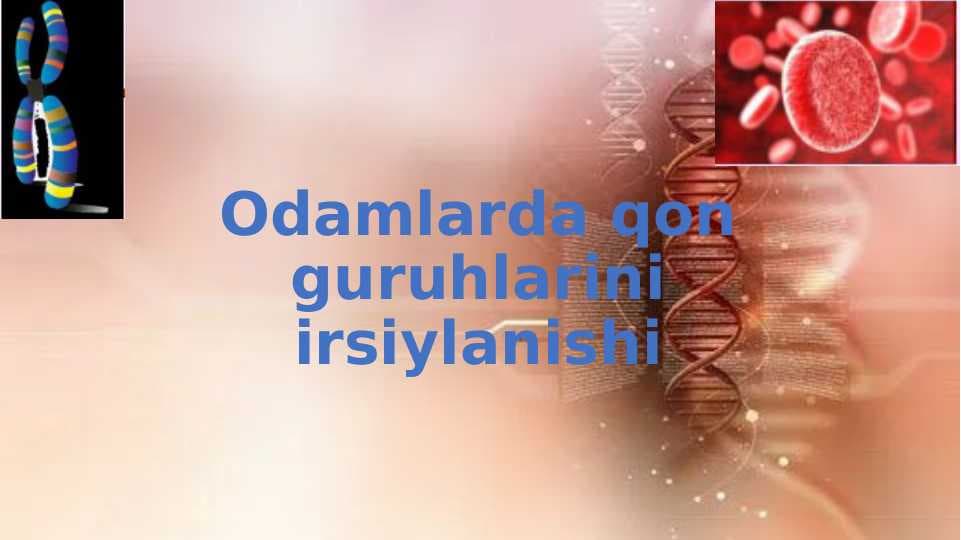 Odamlarda qon guruhlarini irsiylanishi