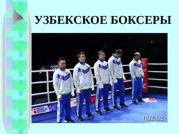 УЗБЕКСКОЕ БОКСЕРЫ