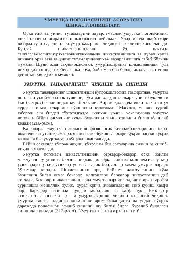 УМУРТҚА ПОҒОНАСИНИНГ АСОРАТСИЗ ШИКАСТЛАНИШЛАРИ