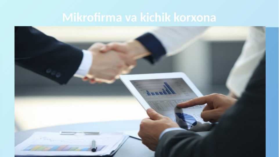 Mikrofirma va kichik korxona