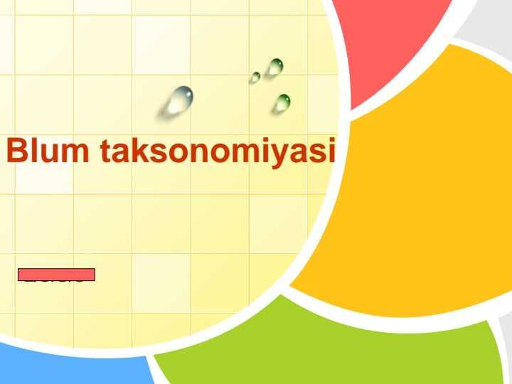 Blum taksonomiyasi