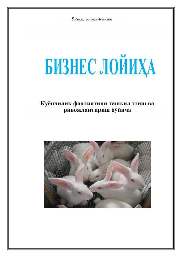 Куёнчилик фаолиятини ташкил этиш ва ривожлантириш бўйича  biznes plan