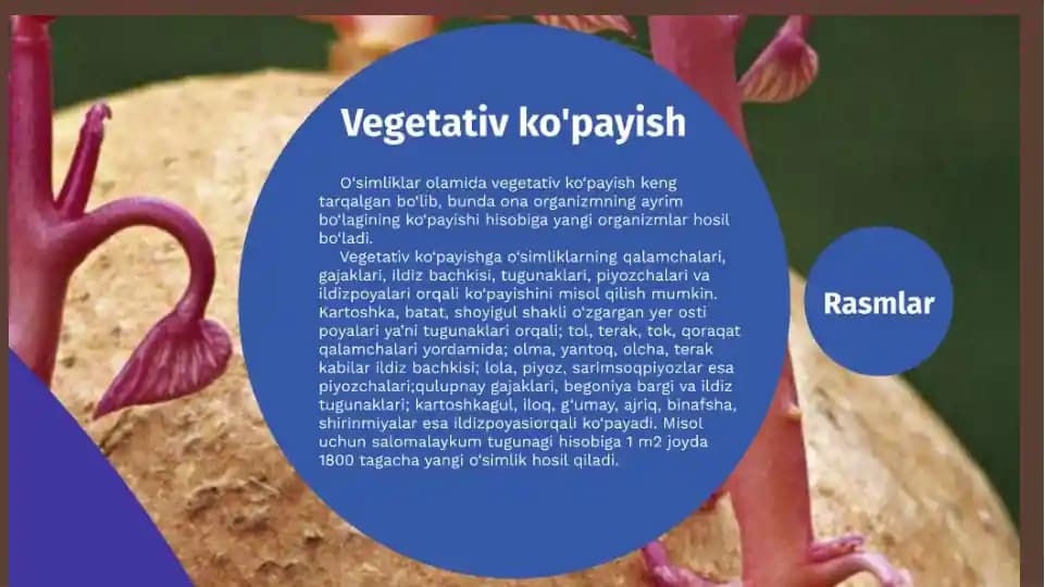 Organizmlarning koʻpayishi