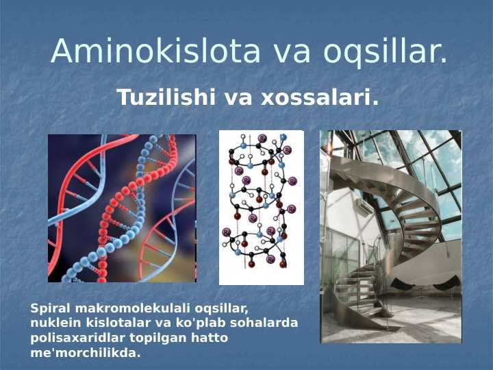 AMINOKISLOTA VA OQSILLAR.
