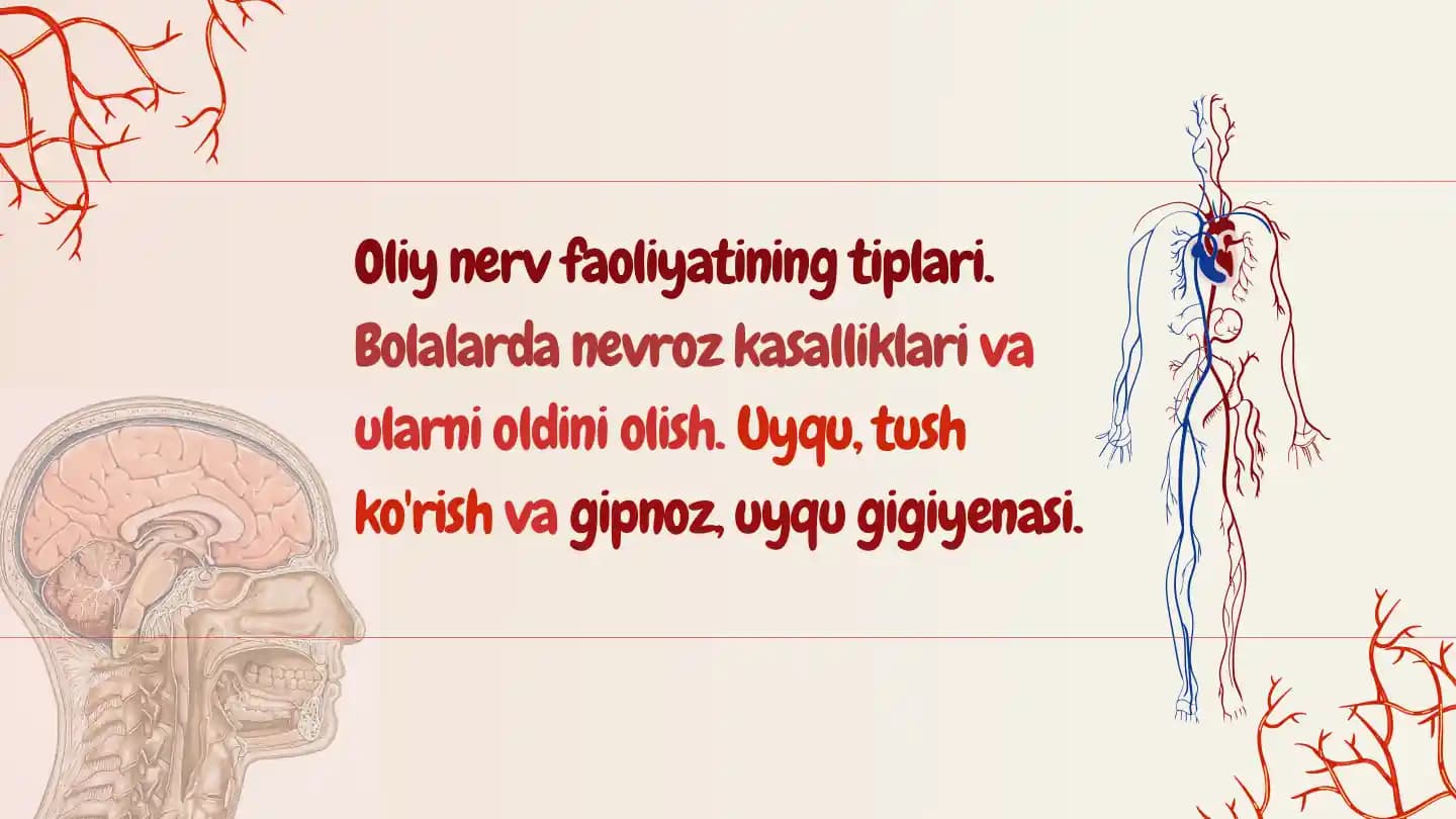 Oliy nerv faoliyatining tiplari