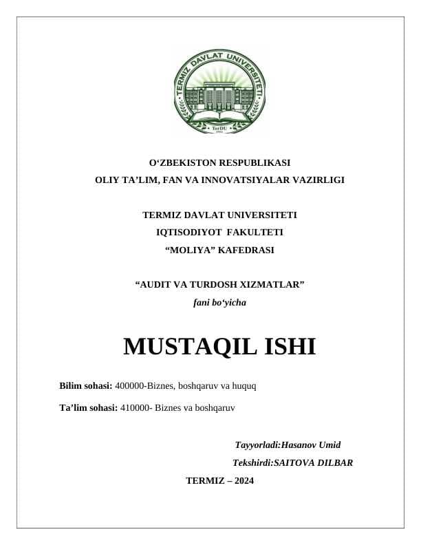Auditorlik tekshiruvi ishchi dasturi.