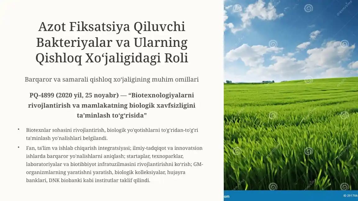 Azot Fiksatsiya Qiluvchi Bakteriyalar va Ularning Qishloq Xo‘jaligidagi Roli