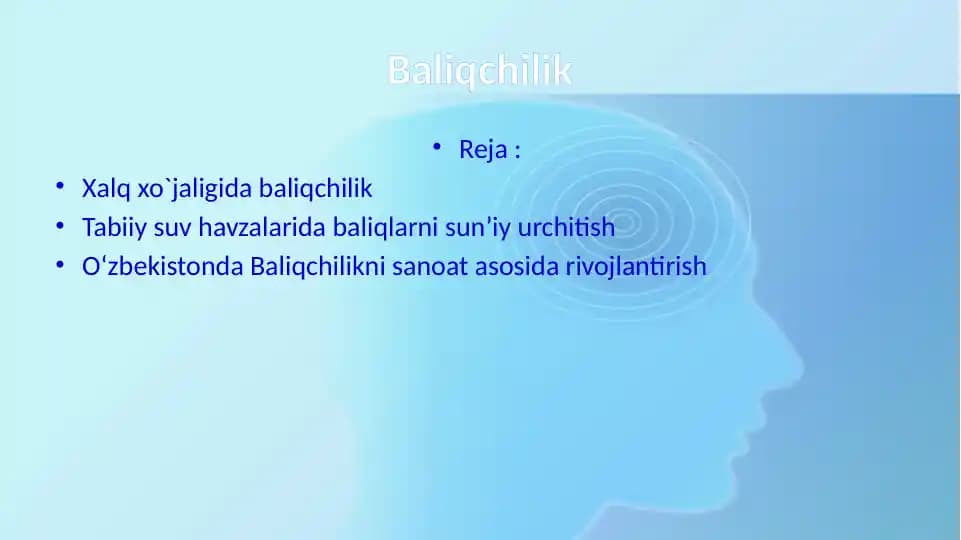 Baliqchilik