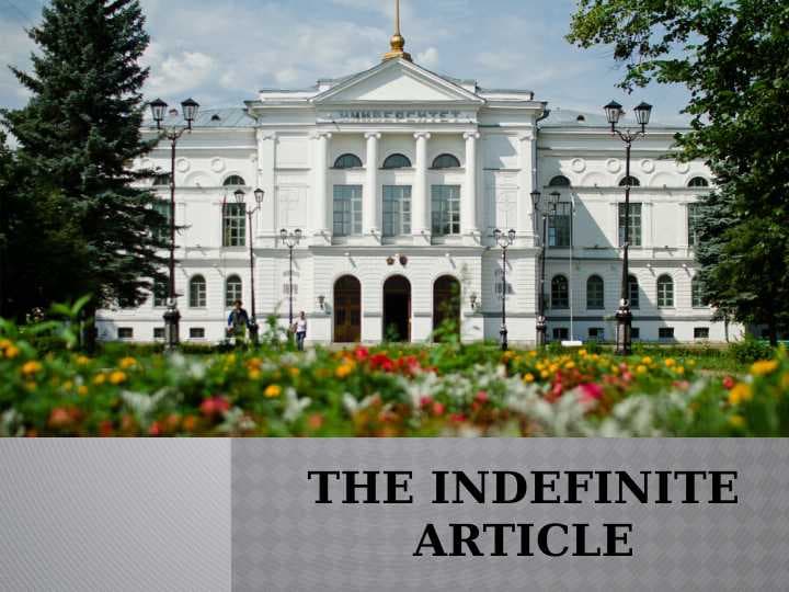 the indefinite article