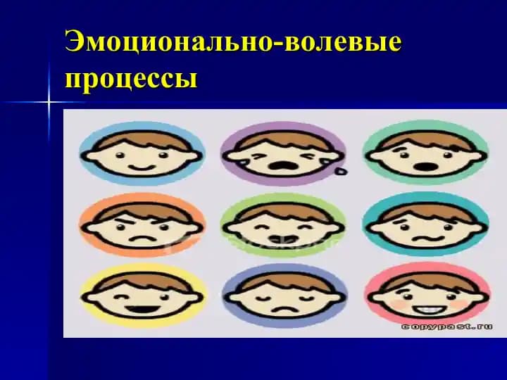 Эмоциально волевые процессы