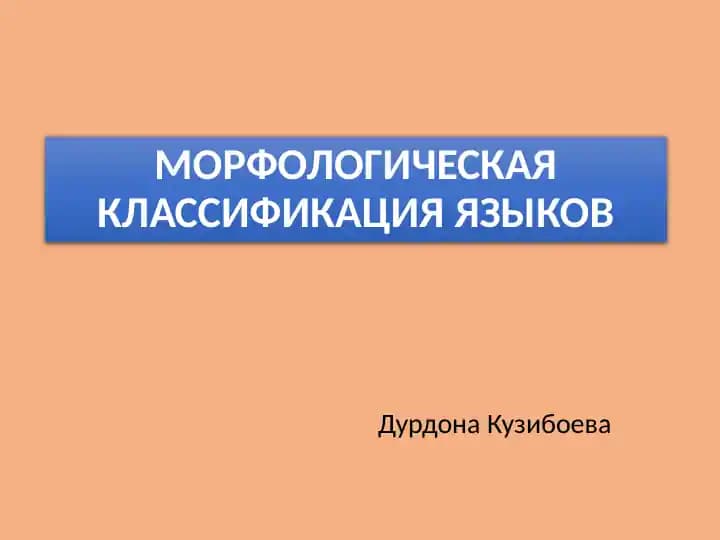 Морфологическая классификация языков