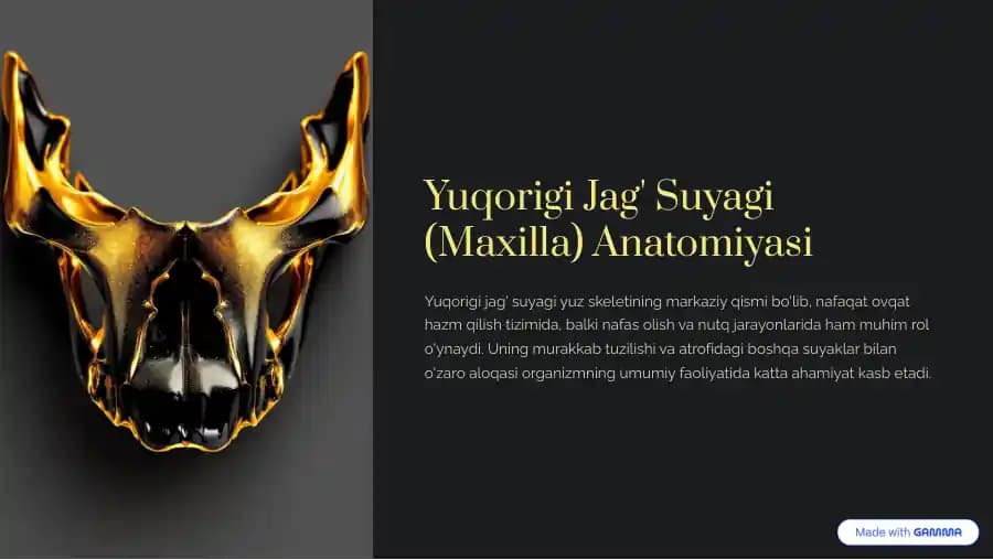 yuqorigi jağ suyagi