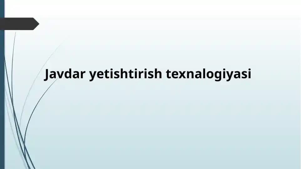 Javdar yetishtirish texnalogiyasi