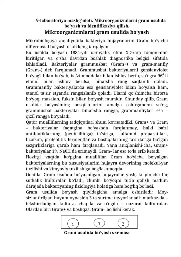 Mikroorganizmlarni Gram Usuli Bo'yash va Identifikasiya Qilish