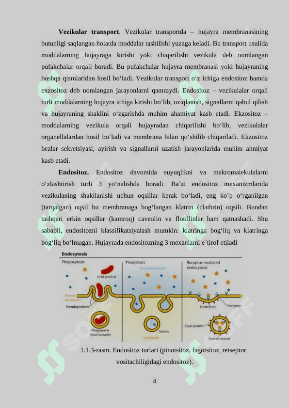 Ion kanallarning aktivatsiyasi, deaktivatsiyasi va inaktivatsiyasi