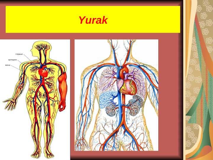 Yurak