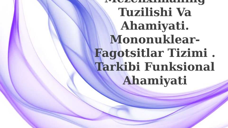 Mezenximaning tuzilishi va ahamiyati. Mononuklear-fagotsitlar tizimi . Tarkibi funksional ahamiyati