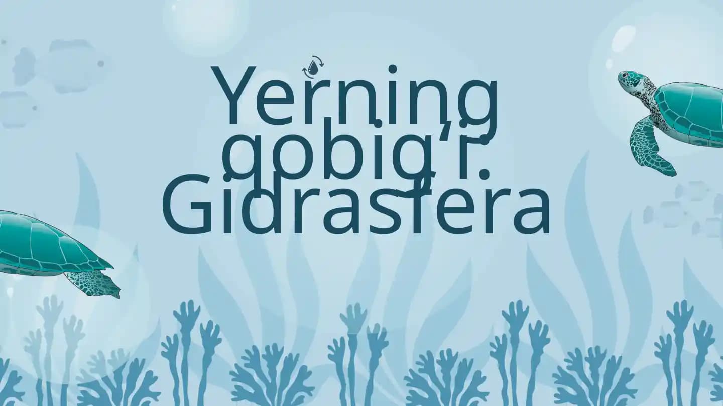Gidrasfera