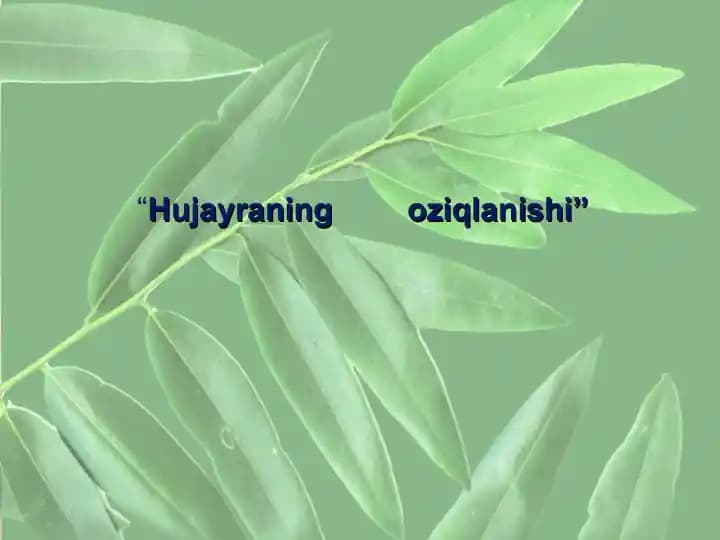 Hujayraning oziqlanishi
