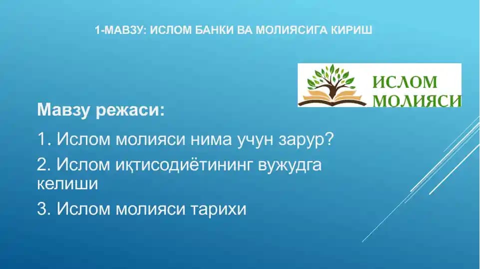 Ислом банки ва молиясига кириш