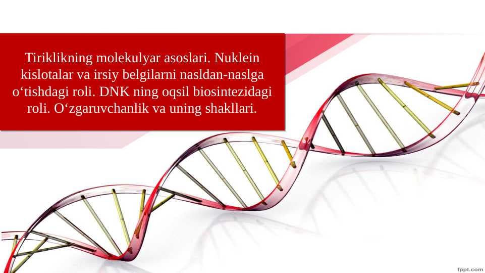 Tiriklikning molekulyar asoslari. Nuklein kislotalar va irsiy belgilarni nasldan-naslga o‘tishdagi roli. DNK ning oqsil biosintezidagi roli. O‘zgaruvchanlik va uning shakllari.