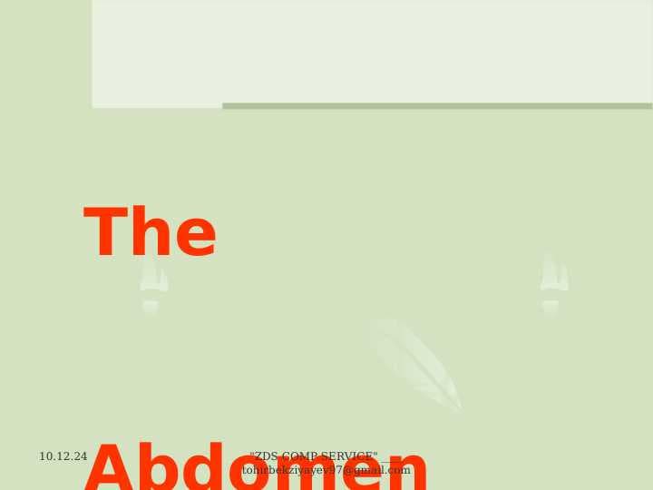 The  Abdomen