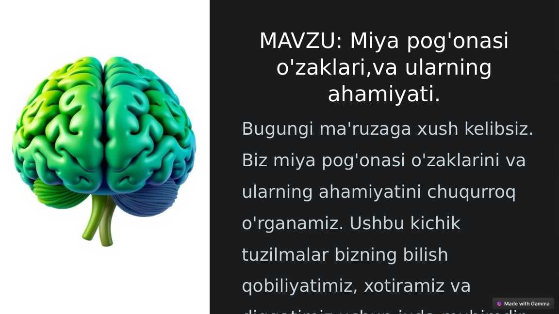 Miya pog'onasi o'zaklari,va ularning ahamiyati.