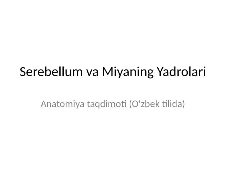 Serebellum va Miyaning Yadrolari / Anatomiya taqdimoti (O'zbek tilida)