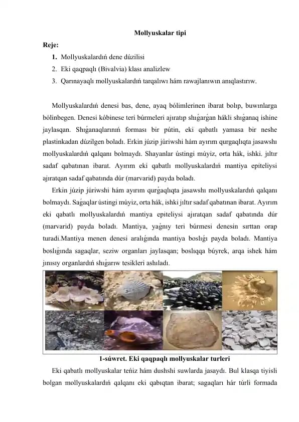 Mollyuskalar tipi