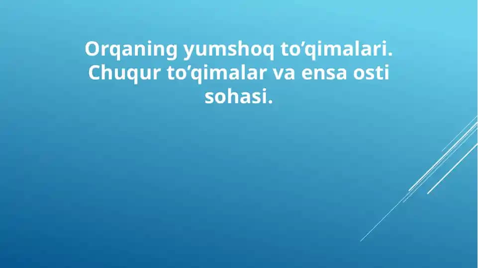 Orqaning yumshoq to’qimalari. Chuqur to’qimalar va ensa osti sohasi.