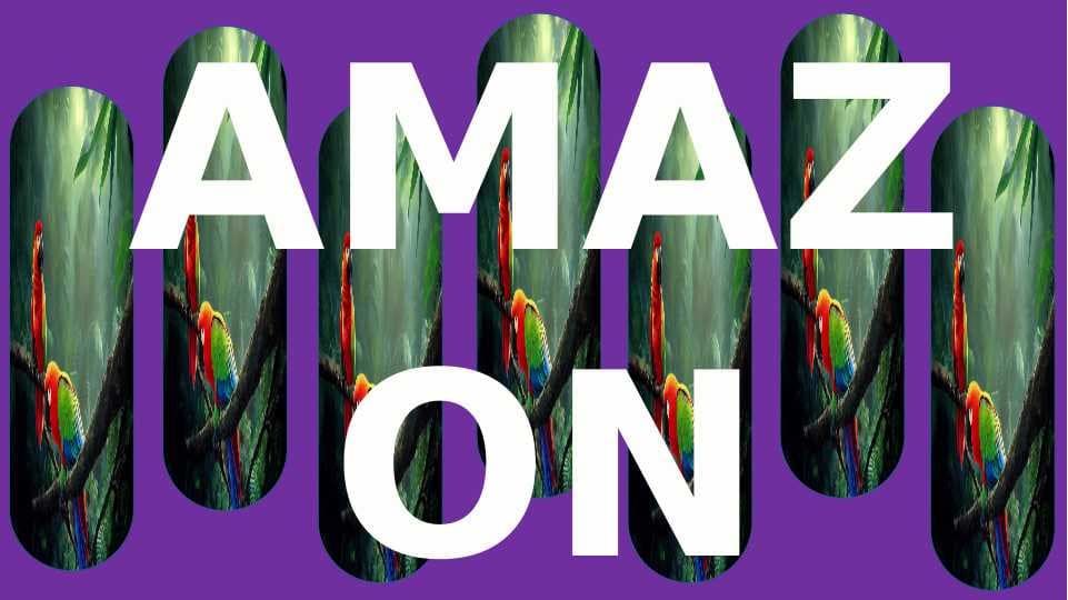AMAZON kompaniyasi