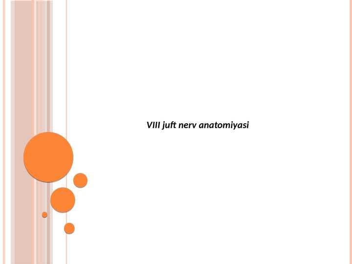 VIII juft nerv 
anatomiyasi