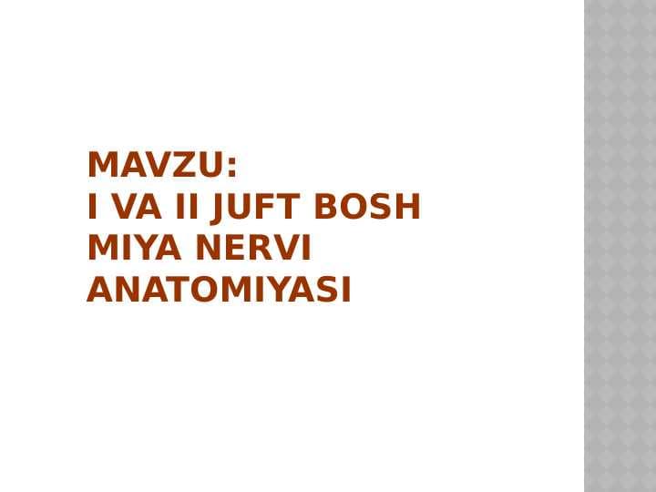 I-II juft bosh miya
nervi anatomiyasi
