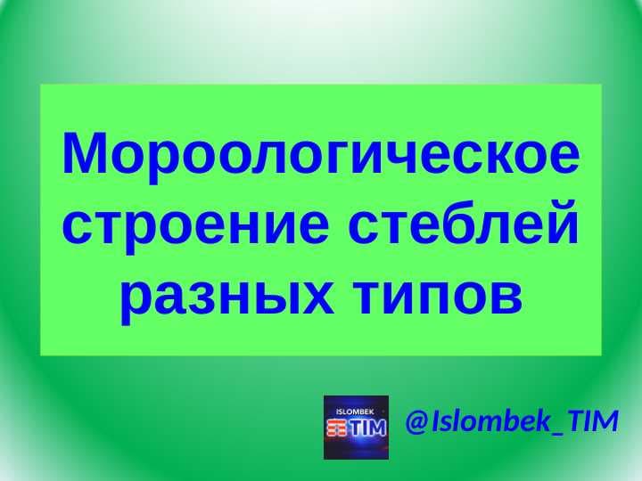 Mороологическое строение стеблей разныx типов