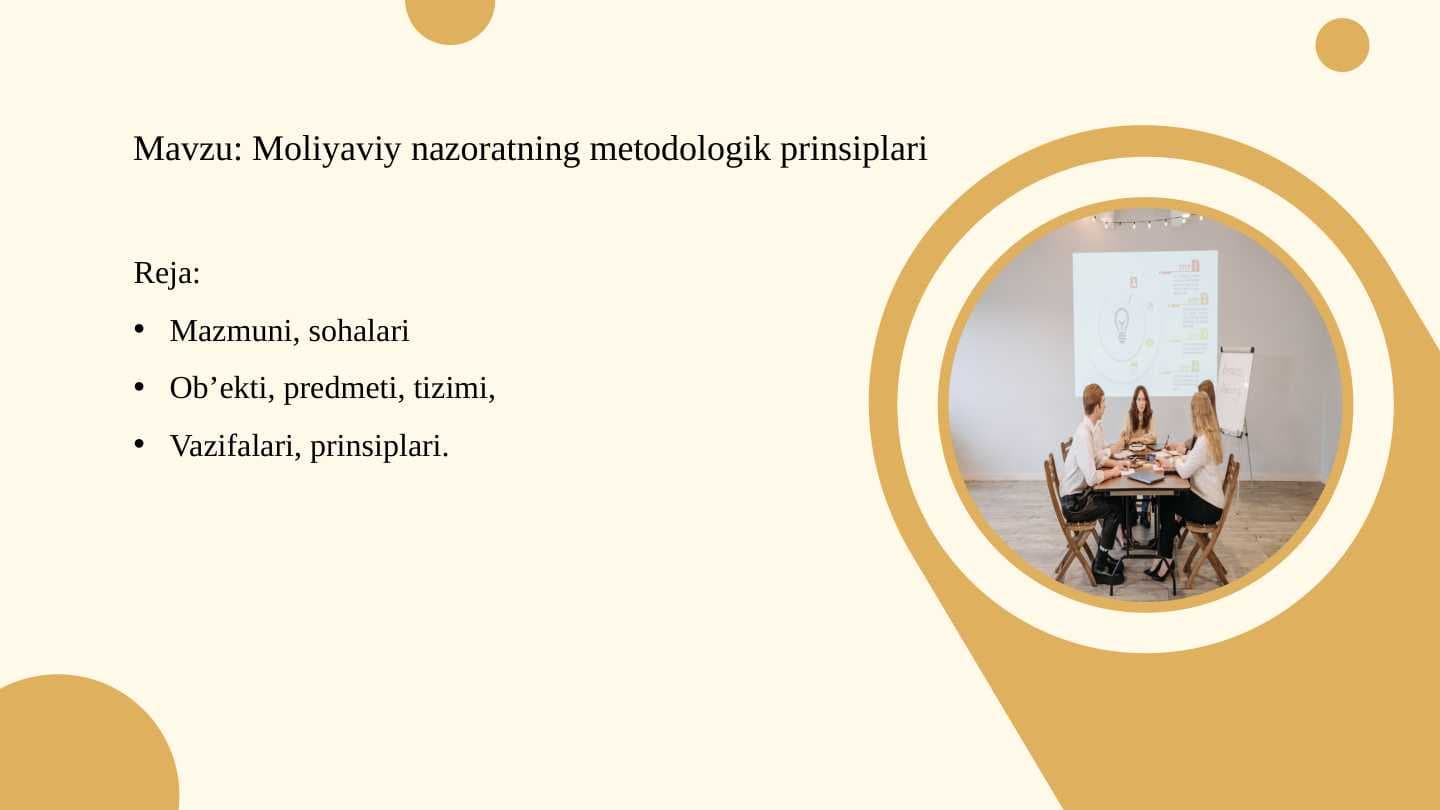 Moliyaviy nazoratning metodologik prinsiplari