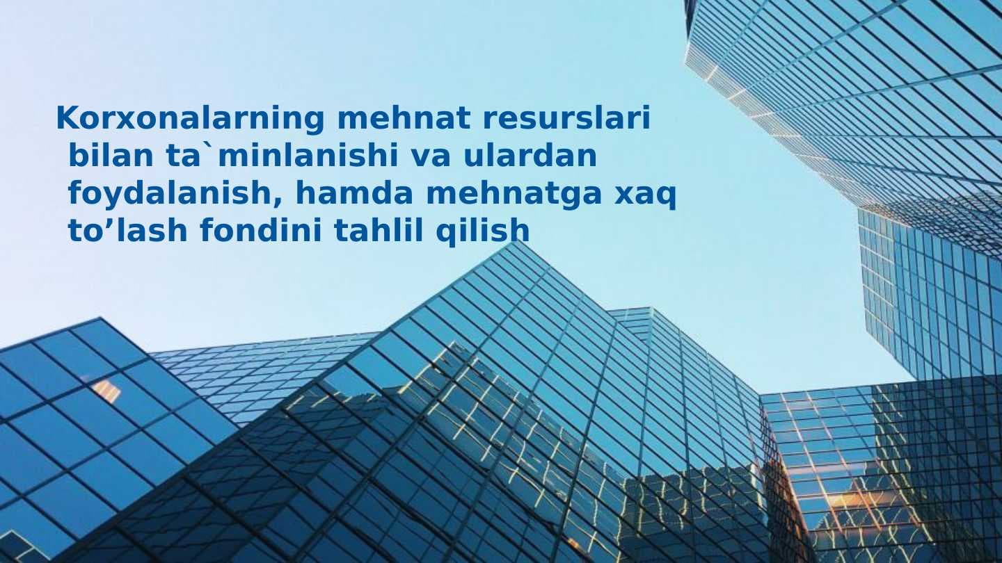 Korxonalarning mehnat resurslari bilan ta`minlanishi va ulardan foydalanish, hamda mehnatga xaq to’lash fondini tahlil qilish pptx