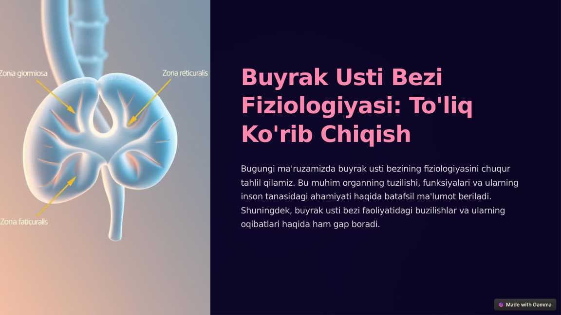 Buyrak Usti Bezi Fiziologiyasi: To'liq Ko'rib Chiqish