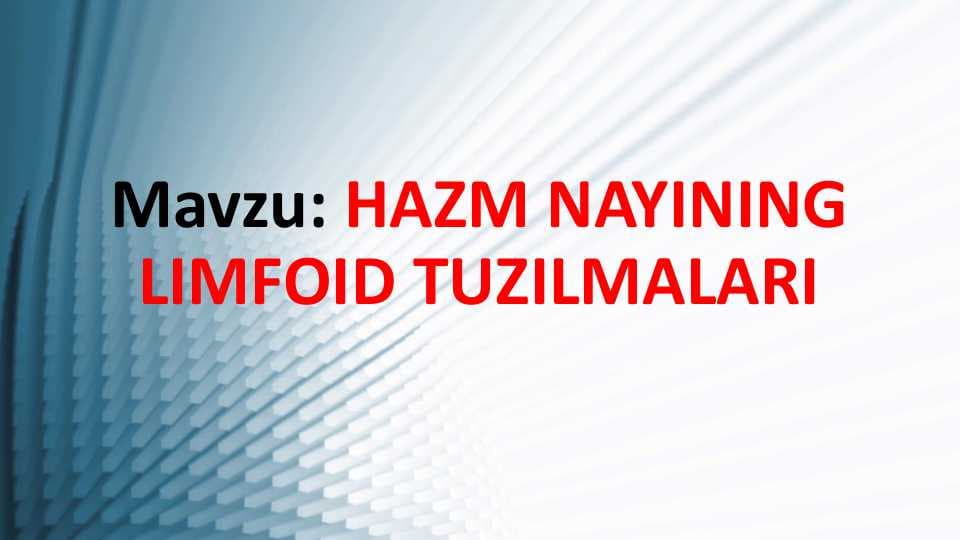 Hazm nayining limfoid tuzilmalari