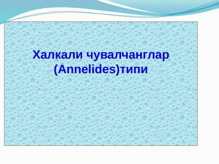 Ҳалқали чувалчанглар типи