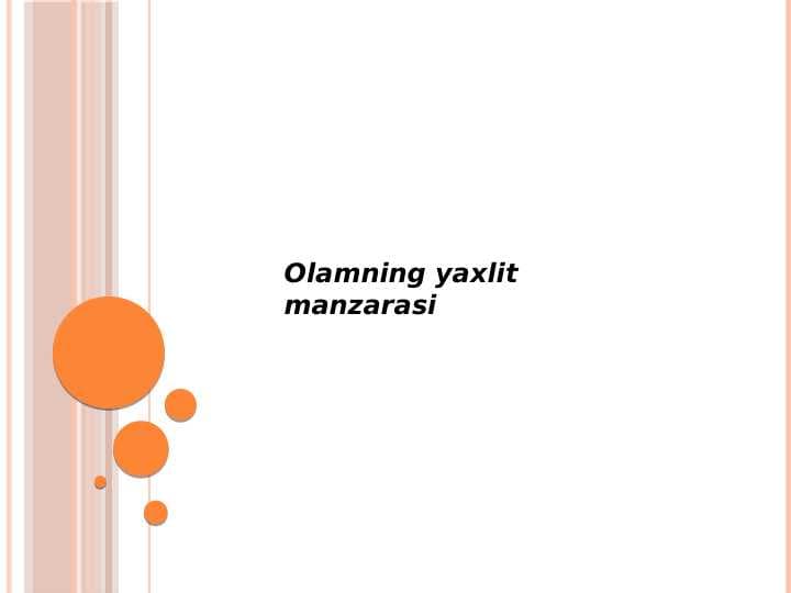 Olamning 
yaxlit manzarasi