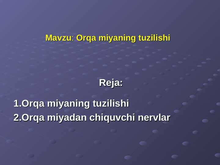 Orqa miyaning tuzilishi