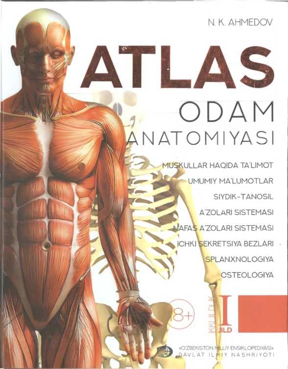 Atlas Odam Anatomiyasi