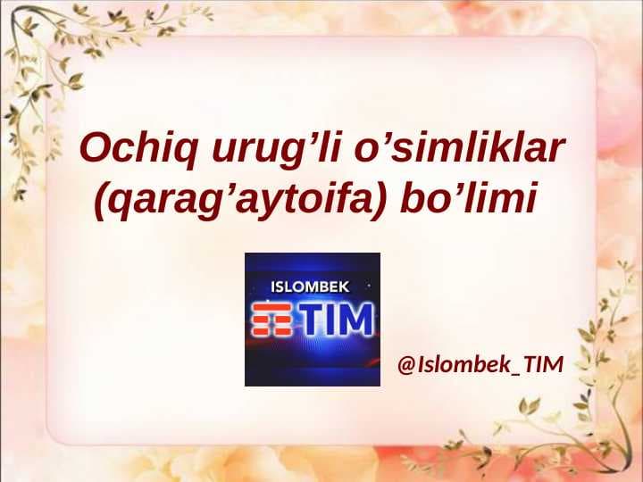 Ochiq urug'li o'simliklar (Qarag'ay Toifa) bo'limi
