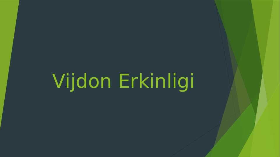 Vijdon Erkinligi