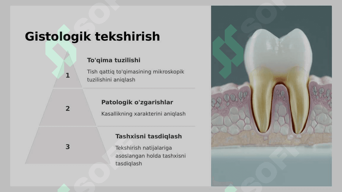 Tish qattiq to‘qimasi kasalliklarida asosiy va qo‘shimcha tekshirish usullari