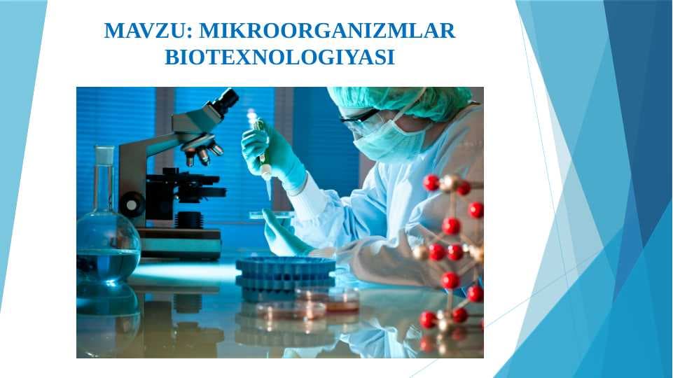 Mikroorganizmlar biotexnologiyasi