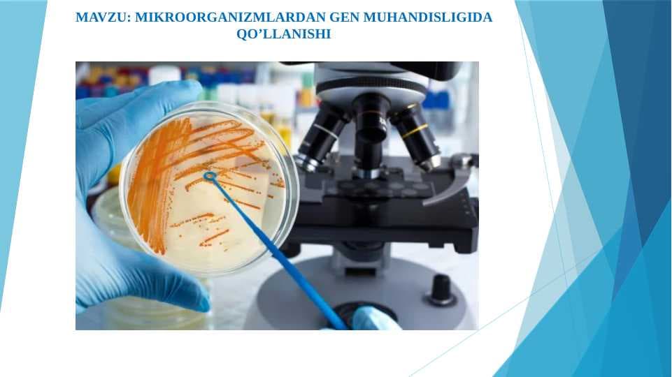 Mikroorganizmlardan gen muhandisligida qo’llanishi