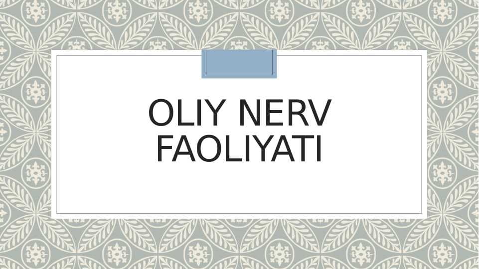 Oliy nerv faoliyati